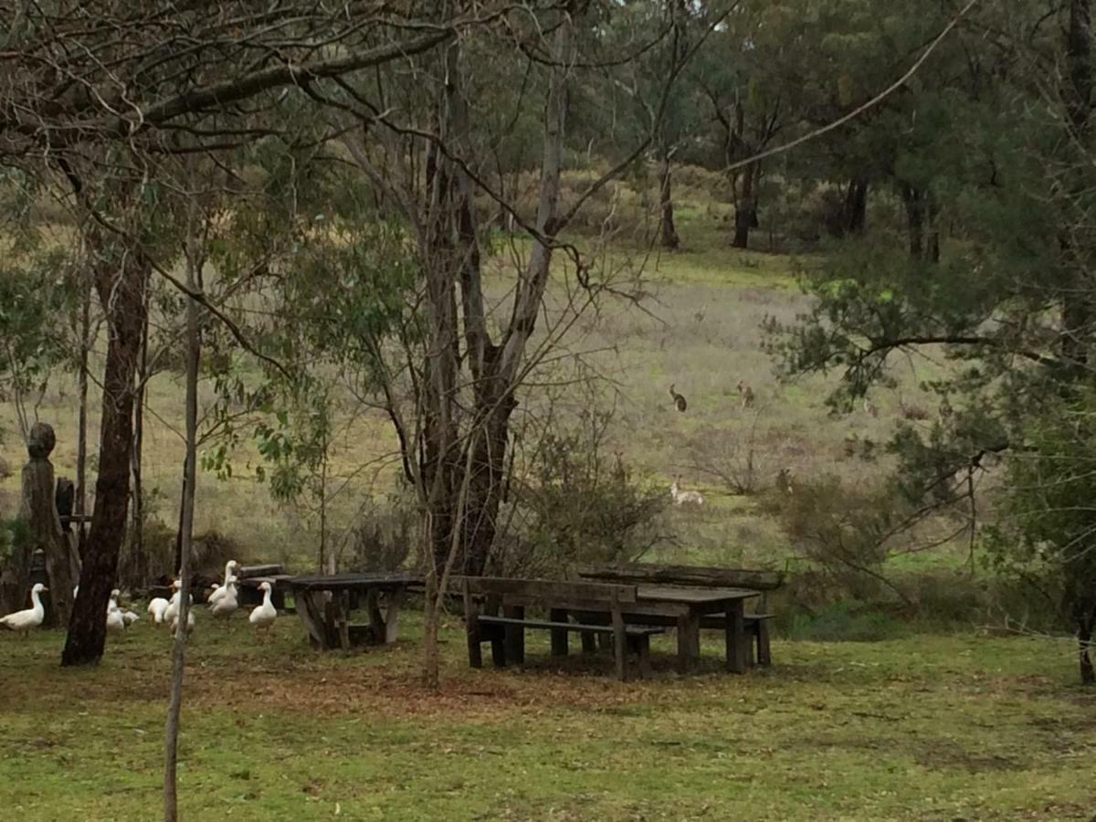Wildwood Guesthouse Mudgee Εξωτερικό φωτογραφία