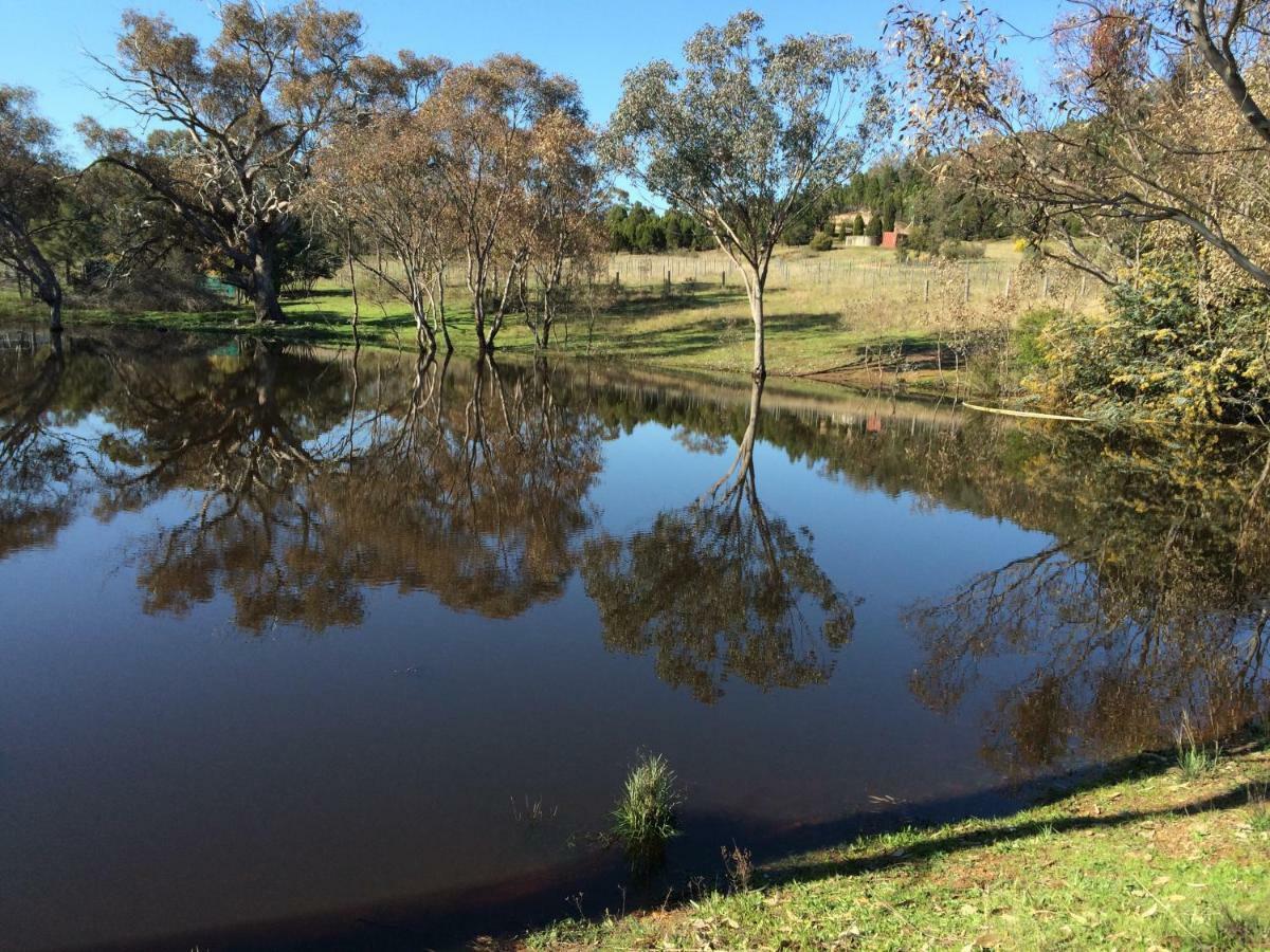 Wildwood Guesthouse Mudgee Εξωτερικό φωτογραφία