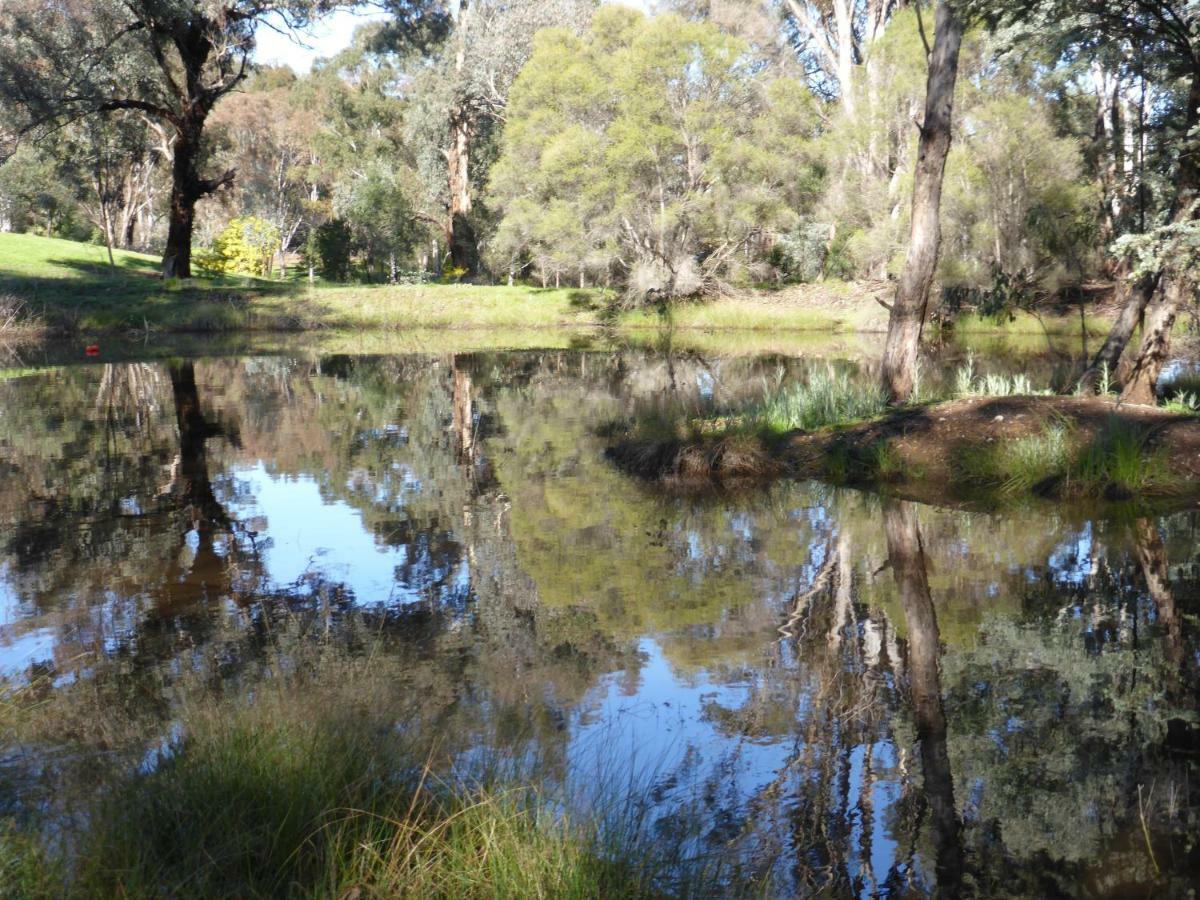 Wildwood Guesthouse Mudgee Εξωτερικό φωτογραφία