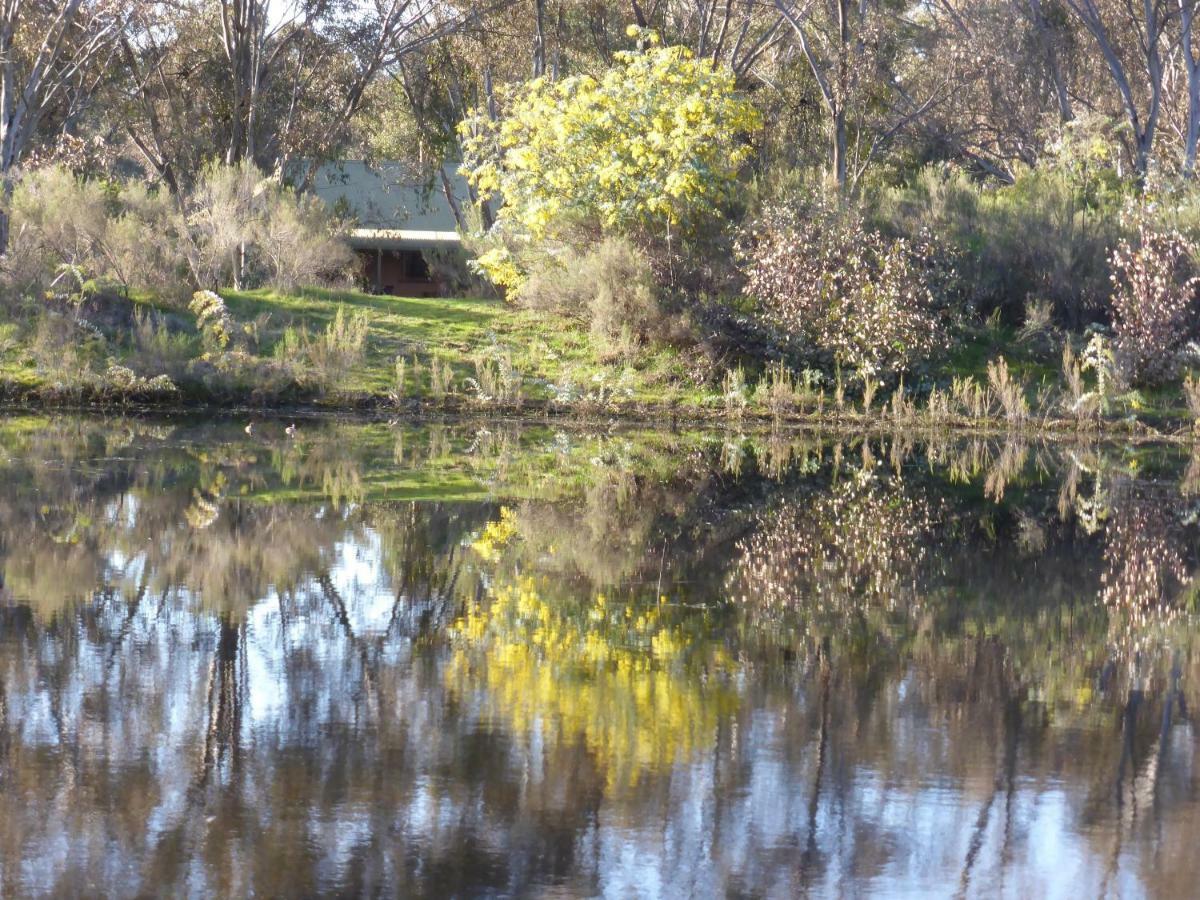 Wildwood Guesthouse Mudgee Εξωτερικό φωτογραφία