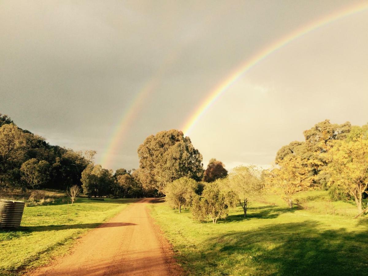 Wildwood Guesthouse Mudgee Εξωτερικό φωτογραφία