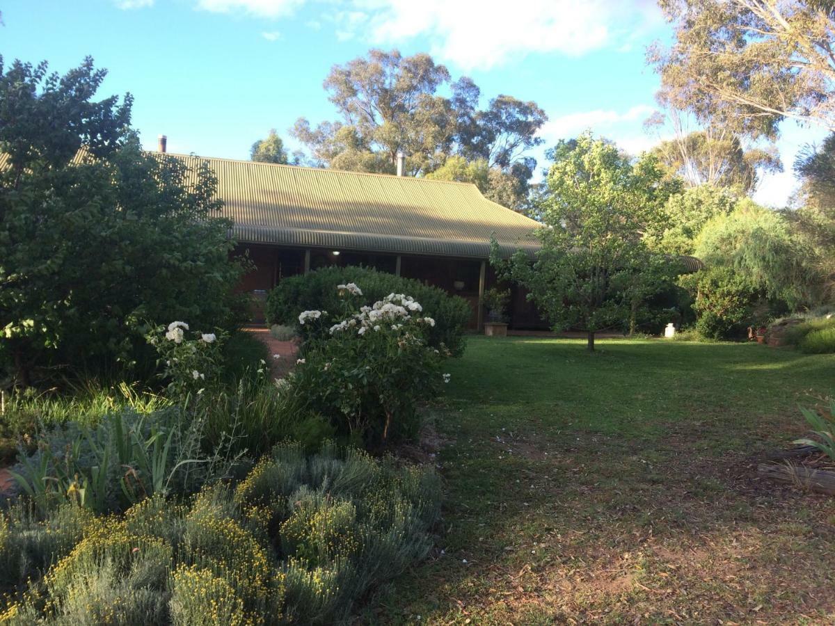Wildwood Guesthouse Mudgee Εξωτερικό φωτογραφία