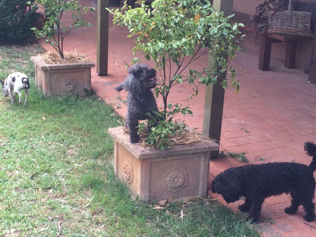 Wildwood Guesthouse Mudgee Εξωτερικό φωτογραφία