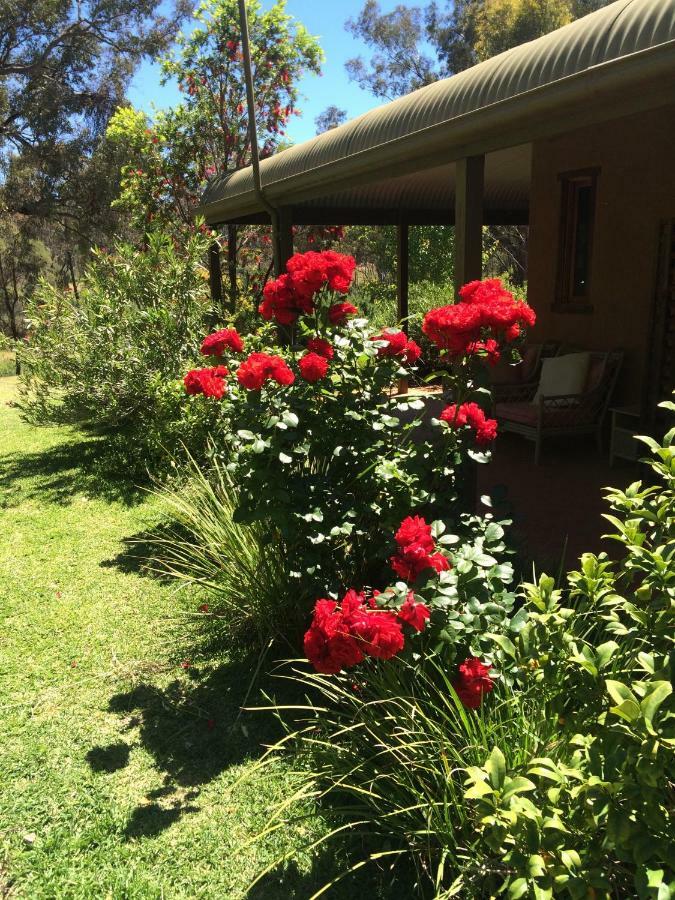 Wildwood Guesthouse Mudgee Εξωτερικό φωτογραφία