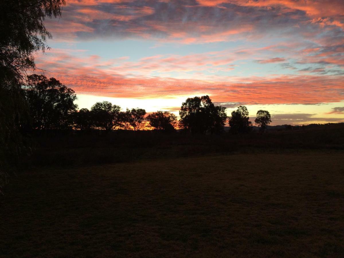 Wildwood Guesthouse Mudgee Εξωτερικό φωτογραφία
